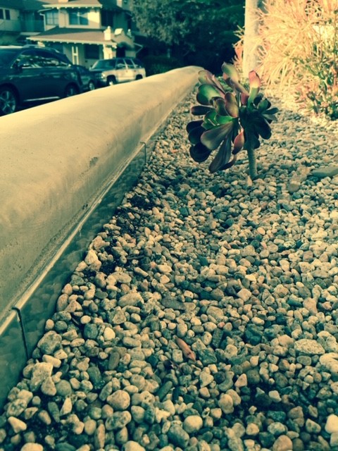 Completed radius planter waterproofing