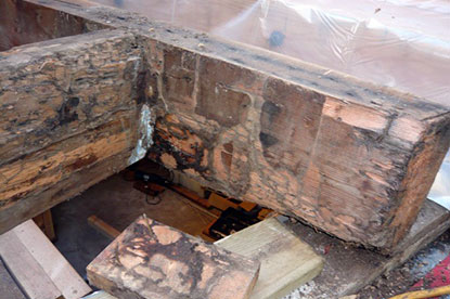 Termite damaged load bearing beam requiring replacing