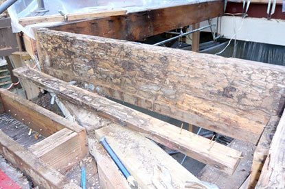 Overview image of live termites on courtyard deck steps