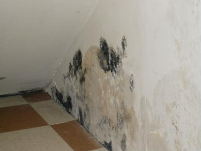 IICRC S520 mold remediation standards